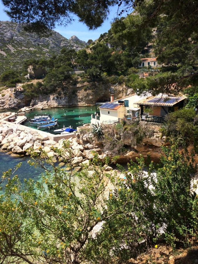 Le Sept Charmant Studio Aux Portes Des Calanques Cassis Exteriör bild